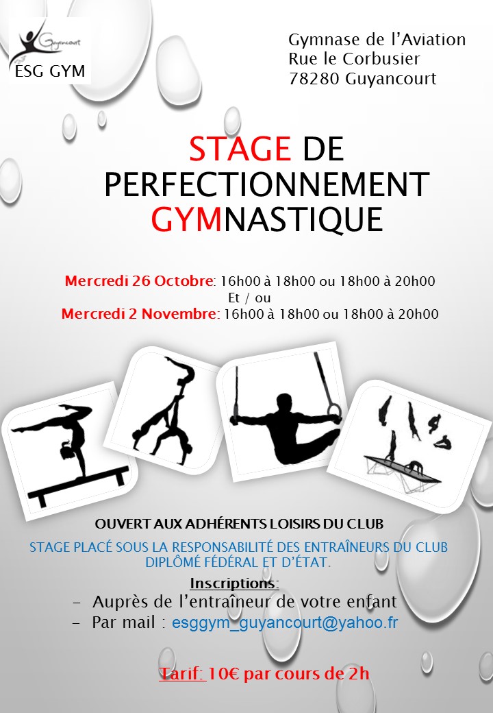 Stage Loisir de Gymnastique Stage Loisir de Gymnastique