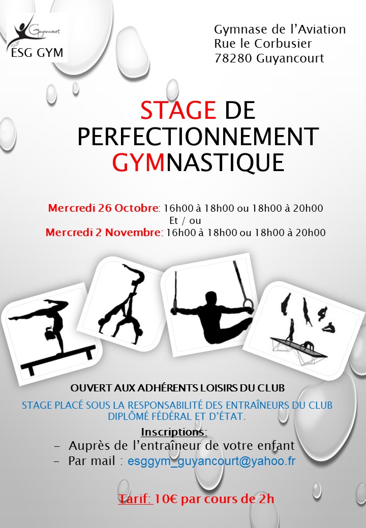 Stage Loisir de Gymnastique