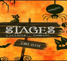 STAGE LOISIRS VACANCES TOUSSAINT