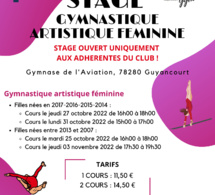 Stage Loisirs Gymnastique Artistique Féminine - Adhérentes ESG Gym UNIQUEMENT